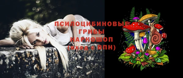 герыч Медногорск