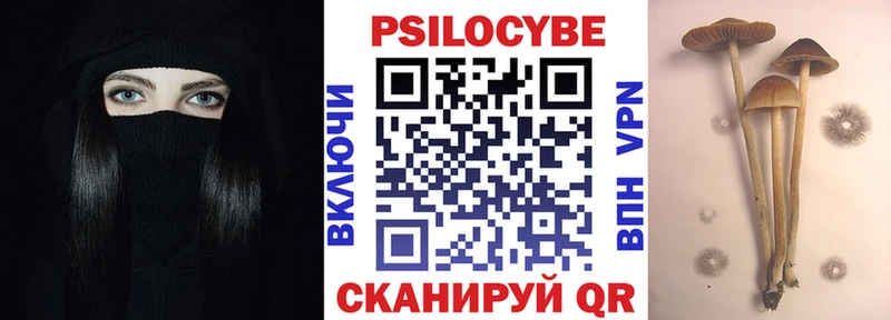 Псилоцибиновые грибы Magic Shrooms  KRAKEN ссылка  Красково  где можно купить  